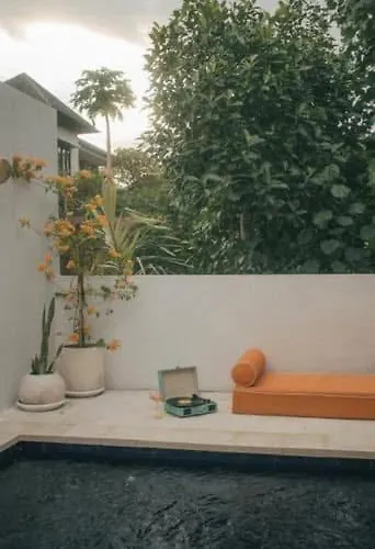 Daydream Believer - Bali